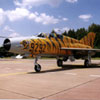 smileys 25728-mig-21.jpg