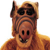 smileys 25772-alf.jpg