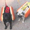 smileys 25779-hotdogs.jpg