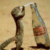 smileys 26047-thirsty_squirrel.jpg