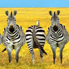 smileys 26563-zebras.jpg