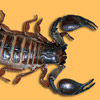 smileys 26715-scorpion3.jpg