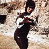 smileys 27971-bruce_lee_7.jpg