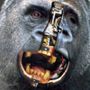 smileys 28620-king_kong.jpg