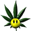 smileys 28896-green_smile.jpg