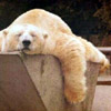 smileys 29640-relaxation.jpg