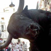 smileys 29810-bull.jpg