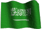 smileys 59014-3Arabia_Saudi-3dflagsdotcom_saudi_2fawm.gif