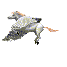 smileys 64843-pegasis.gif